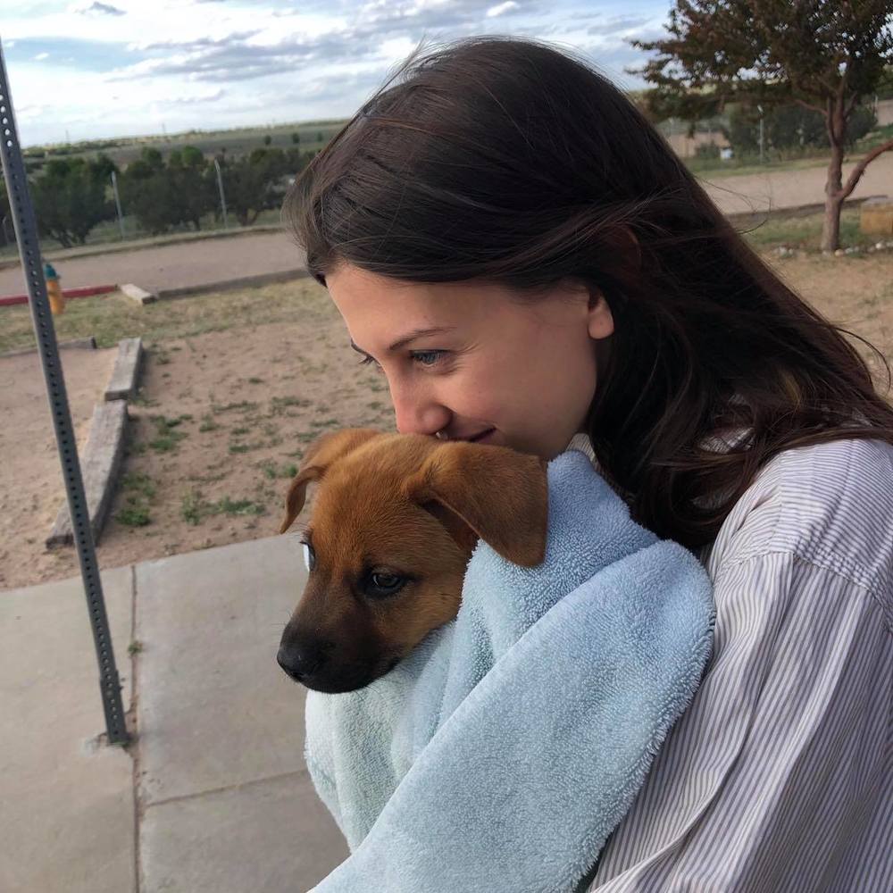 Meet your Posher, Rowan